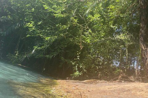 Arusha : excursion d'une journée aux sources chaudes de Kikuletwa avec transport