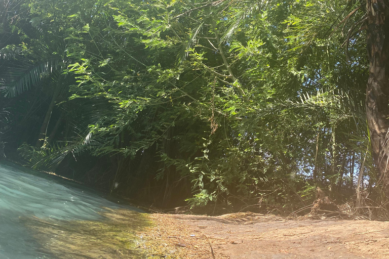 Arusha : excursion d'une journée aux sources chaudes de Kikuletwa avec transport
