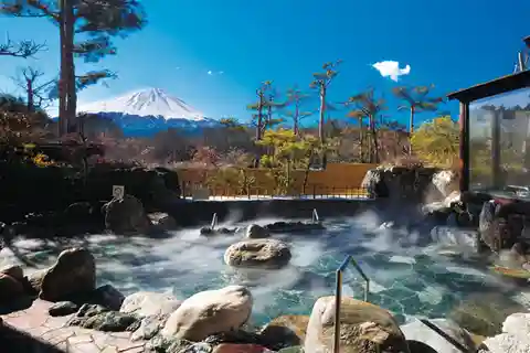 Tokyo: Mt. Fuji Day Trip with Hot Springs & Local Cuisine