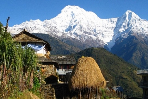 Von Pokhara aus: 4-tägige Poon Hill Private Trek Tour