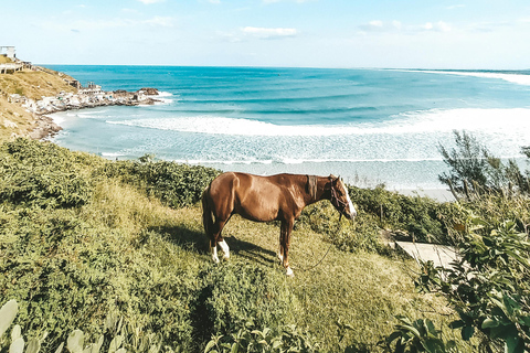 Fiji: Scenic Mountain View Horseback Experience