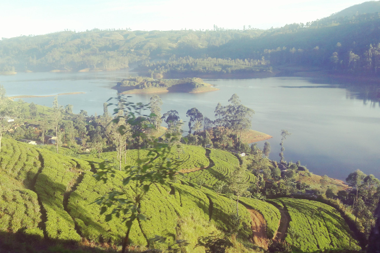 From Nuwara Eliya: Adam's Peak Climb & Ella Drop