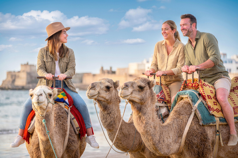 Hunter Valley Winery, Port Stephens Sand Dunes Adventures Winery Experience, Meet at Furama Darling Harbour