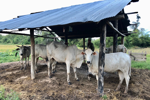 Siem Reap: Local Villages Bike Tours