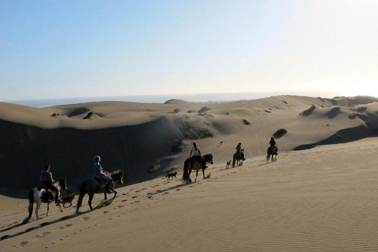 Santiago : balade à cheval, dunes de sable avec transfert et barbecue en optionSantiago : Balade à cheval, dunes de sable avec transfert et barbecue en option