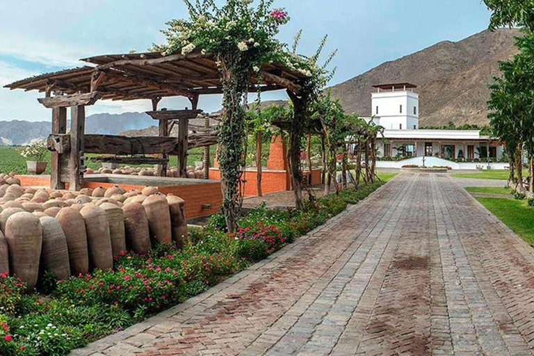 Tour along the Pisco Route Private