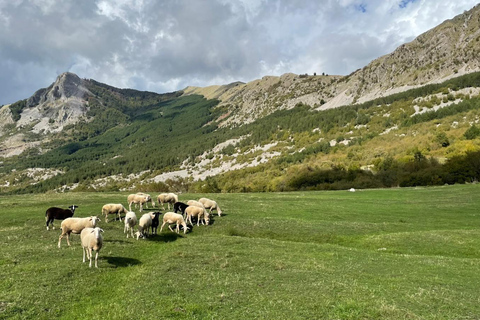 Tirana: Dajti Cable Car, Shengjergj Waterfall & Hike Tour