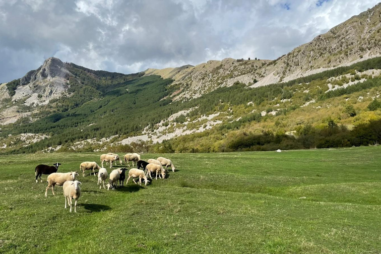 Tirana: Dajti Cable Car, Shengjergj Waterfall & Hike Tour