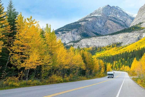 Columbia-ijsveld, Skywalk, Crowfoot-gletsjer en meren-tourCanmore: Columbia Icefield, Crowfoot-gletsjer en meren: tour