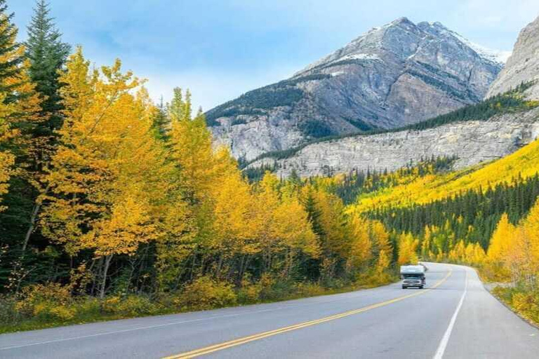 Columbia-ijsveld, Skywalk, Crowfoot-gletsjer en meren-tourCanmore: Columbia Icefield, Crowfoot-gletsjer en meren: tour