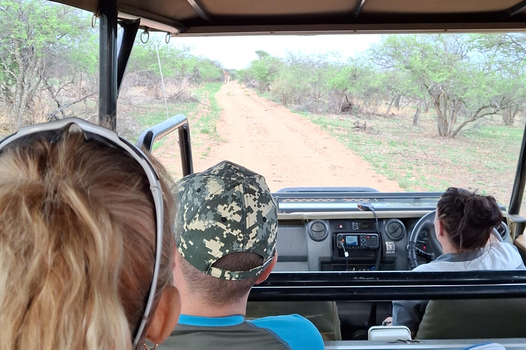 Dinokeng Safari with Transfer