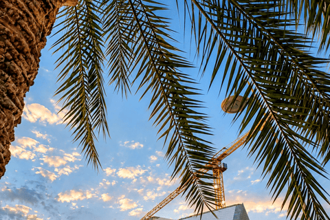 From Dubai: One-Way Guided Trip to Abu Dhabi & Yas Island