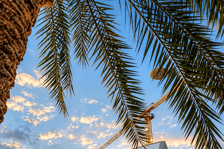 From Dubai: One-Way Guided Trip to Abu Dhabi & Yas Island