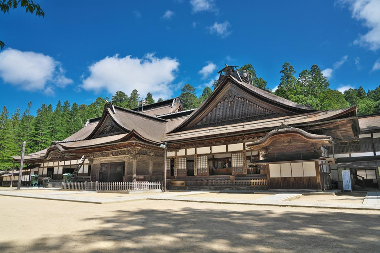 Mount Koya from Osaka: Cultural Small Group Day Tour