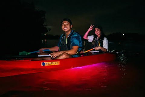 Florida: LED Night Kayak Tour with Comb Jellies Group Tandem Clear Bottom Night Tour