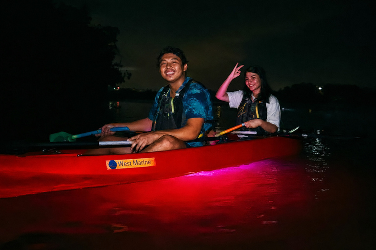 Florida: LED Night Kayak Tour with Comb Jellies Group Tandem Clear Bottom Night Tour