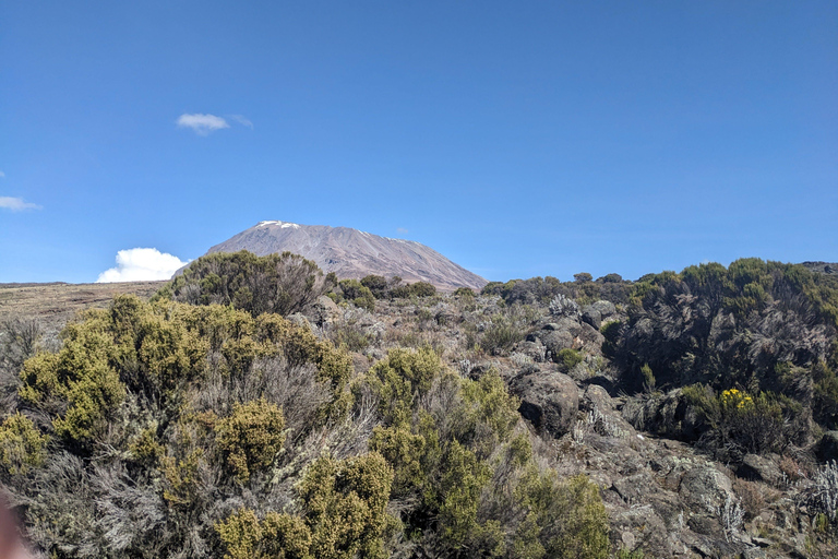 Ascension du Kilimandjaro : 1 jour sur la route de Marangu