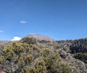 #Tour di 1 giorno: Escursione Marangu Kilimanjaro con il gruppo