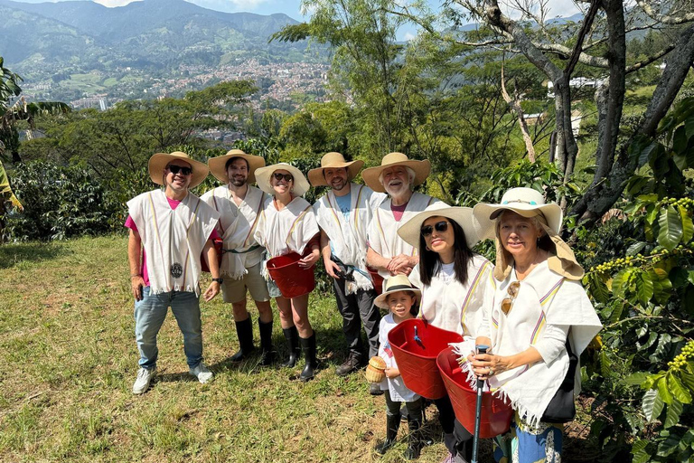 Medellín : Tournée des cafés dans les montagnes