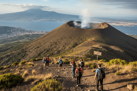 Mount Vesuvius Tour with Skip-the-Line Ticket from Naples