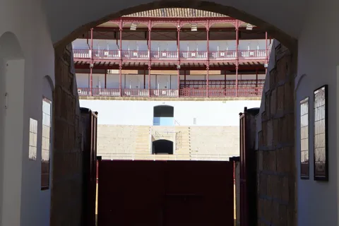 Málaga: Private Führung durch die Stierkampfarena und das Immersive Museum