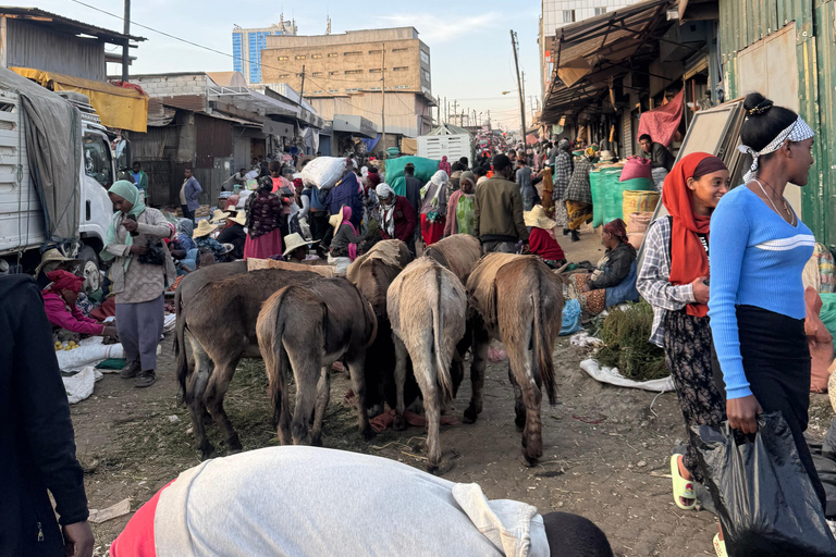 Addis Ababa: Entoto Forest, Villages, and Lunch Tour
