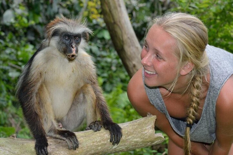 Zanzibar: tour di mezza giornata alla scoperta delle scimmie della foresta di Jozani