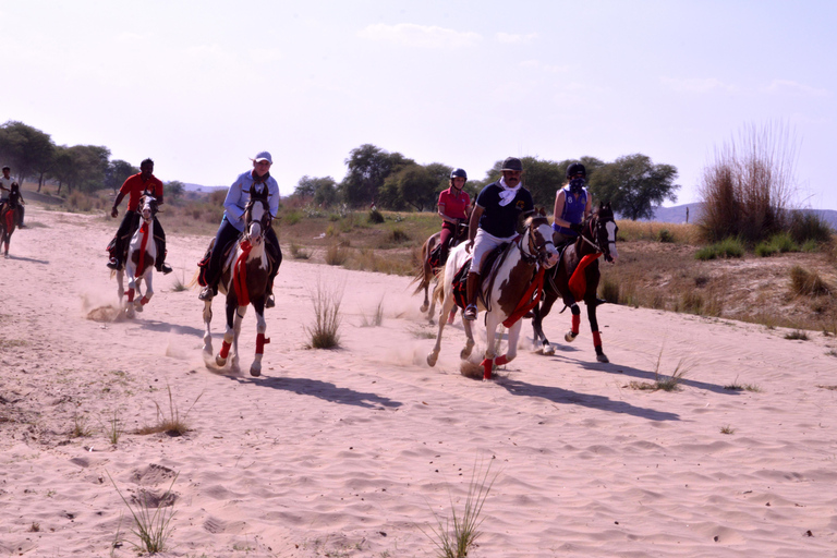 Avventura a cavallo a Jaipur