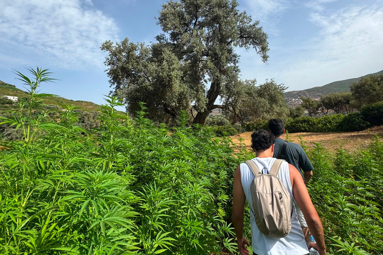 Chefchaouen: Akchour Waterfalls & Bridge of God Day Trip Shared / Small Group Excursion