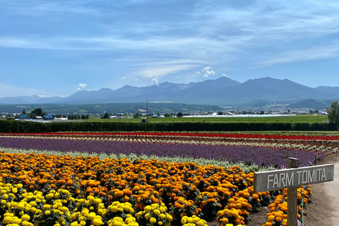 Hokkaido Summer Nature Experience: Furano & Biei