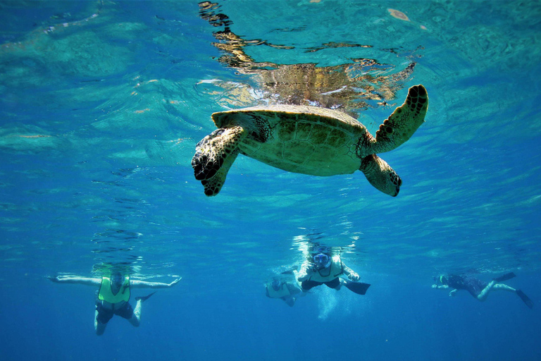 Champagne & Lobster Snorkeling Cruise