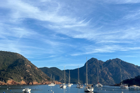 Scandola, Piana &amp; Girolata