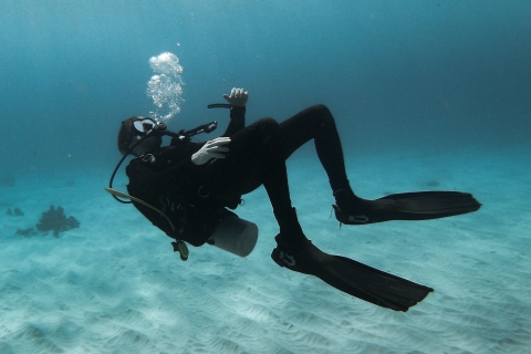 Scuba Diving in Negombo