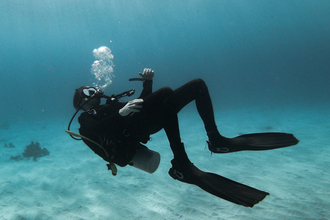 Scuba Diving in Negombo