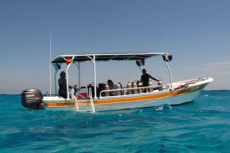 Cancún: 2-Day PADI Open Water Diving Course
