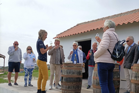 Manilva: Nilva Vineyard, Wine Tasting & Tapas Guided Tour Manilva: Nilva Wine Experience: Wine & Tapas