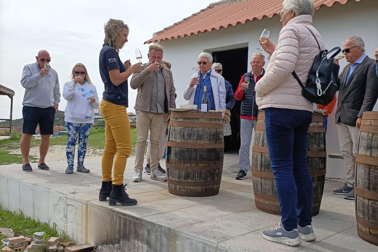 Manilva: Nilva Vineyard, Wine Tasting & Tapas Guided Tour Manilva: Nilva Wine Experience: Wine & Tapas