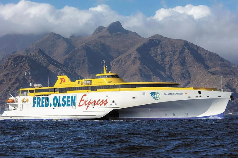 Tenerife - La Gomera: Private Expedition to the Prehistoric Forest