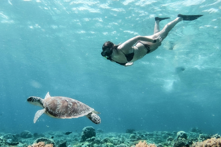 Gili-eilanden: privé-snorkeltrip met GoPro-cameraGili-eilanden: privésnorkelen 4 uur