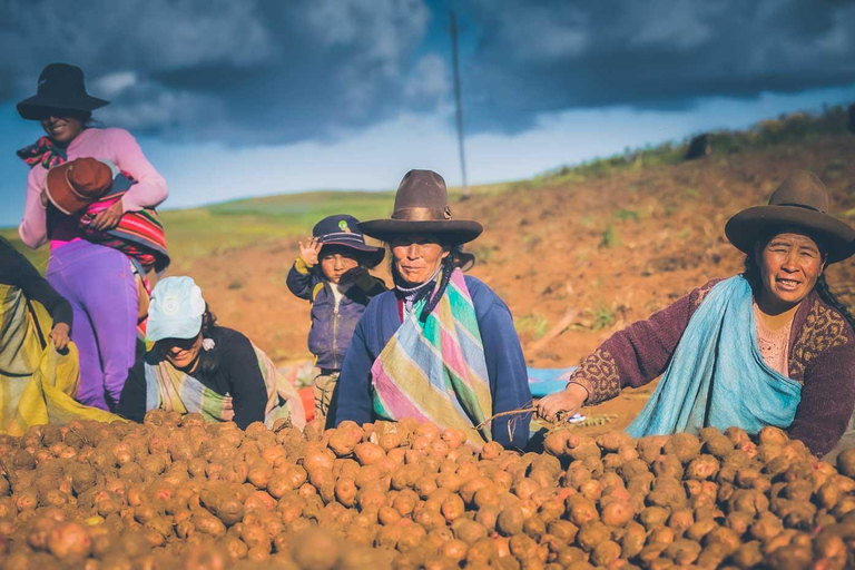 ATV Adventure: Experience the Adrenaline Rush visiting Maras and Moray ATV Adventure: Live the Adrenaline visiting Maras and Moray