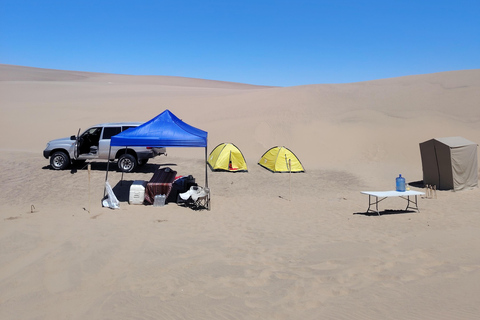 Huacachina: Overnight Camping with Sandboarding/Sandsky, Bar, BBQ, and Campfire