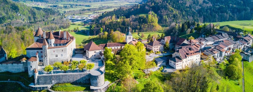 Depuis Genève : Château de Gruyères, fromage, chocolat et Montreux