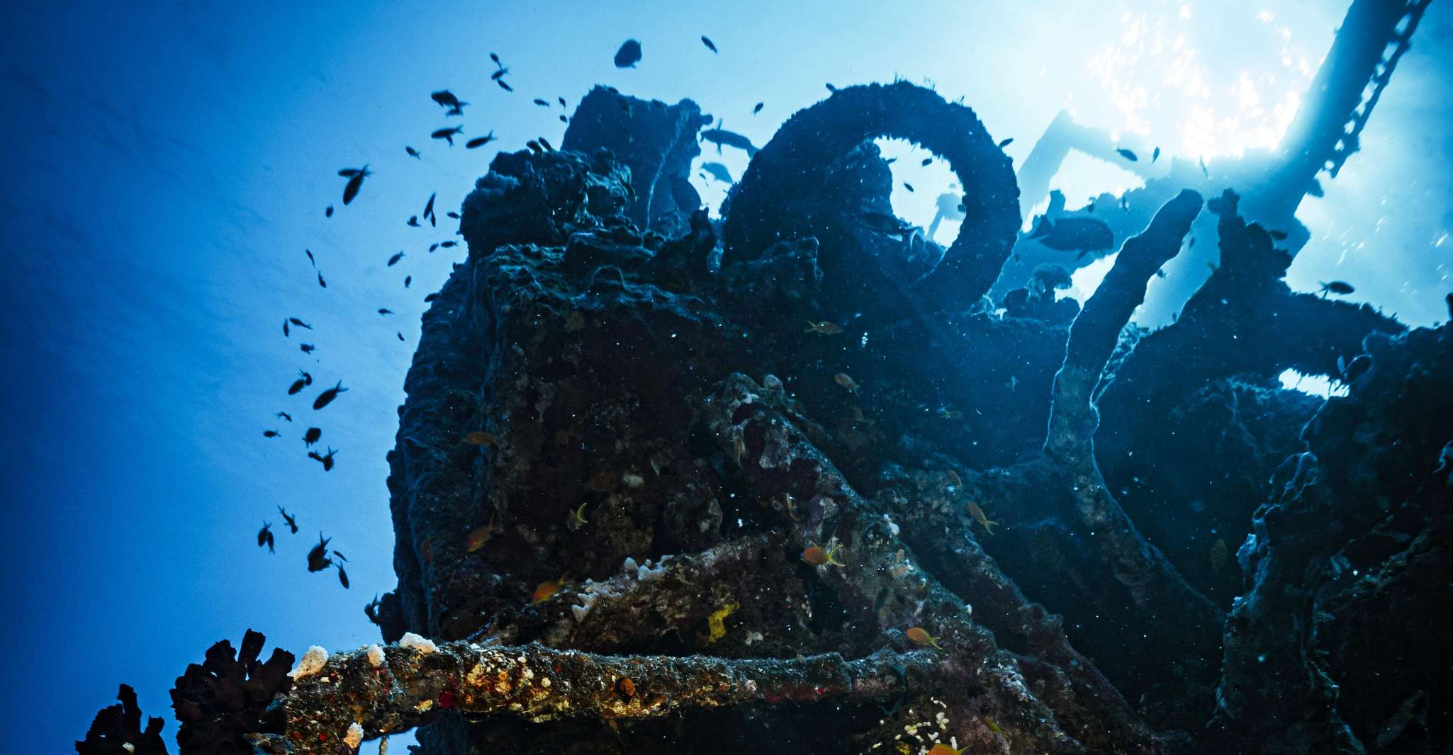 From Jeddah: Boat Trip and Diving for Certified Divers photo 7