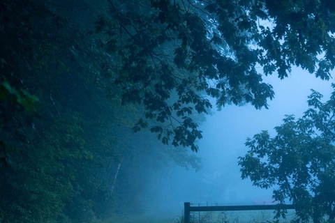 Hollis: New Moon Yoga Nidra, Reiki & Harp Sound Bath