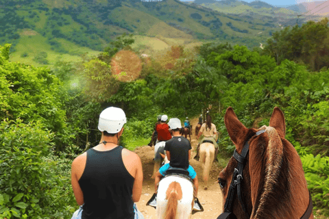 Punta Cana: Zipline, Buggy and Horseback Rides