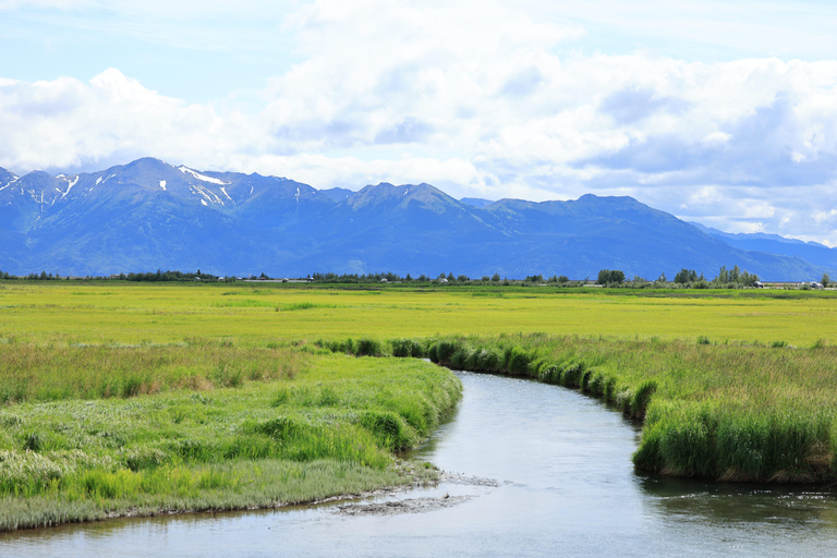 Seward to Anchorage Scenic Tour with Airport drop-off