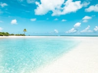 Tetiaroa Island by sailing catamaran - from Tahiti - Housity