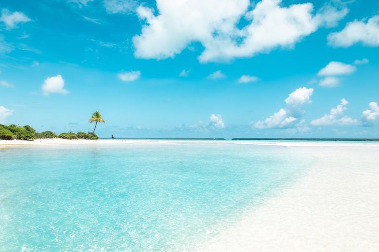 Von Tahiti aus: Tetiaroa Inselrundfahrt mit dem Segelkatamaran