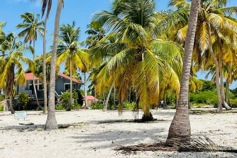 Tour dell&#039;isola di Saona di un giorno intero da Punta Cana