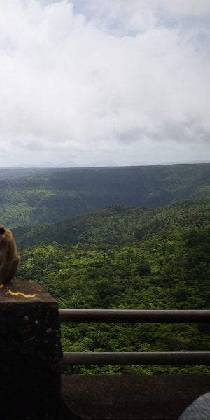 Mauritius, Private South Tour with Pickup - Housity